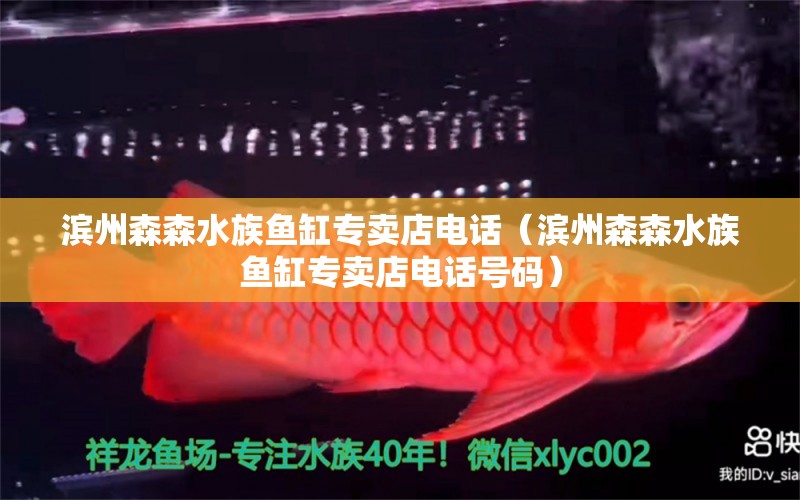 滨州森森水族鱼缸专卖店电话（滨州森森水族鱼缸专卖店电话号码）