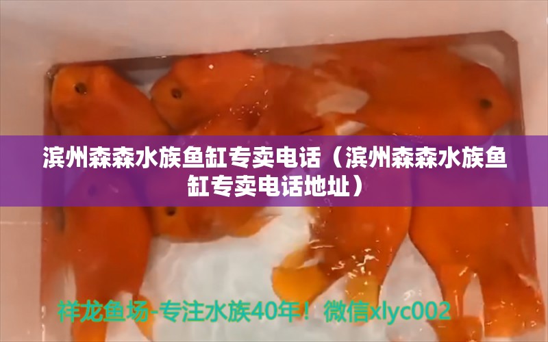 滨州森森水族鱼缸专卖电话（滨州森森水族鱼缸专卖电话地址）