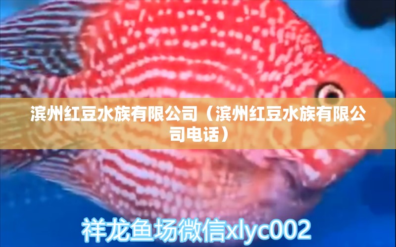 滨州红豆水族有限公司（滨州红豆水族有限公司电话） 全国水族馆企业名录