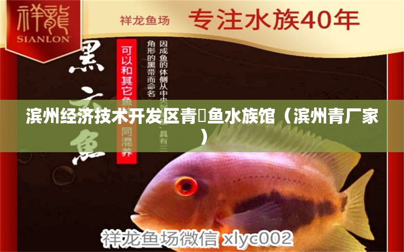 滨州经济技术开发区青鳉鱼水族馆（滨州青厂家） 全国水族馆企业名录