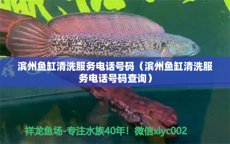 滨州鱼缸清洗服务电话号码（滨州鱼缸清洗服务电话号码查询） 其他品牌鱼缸