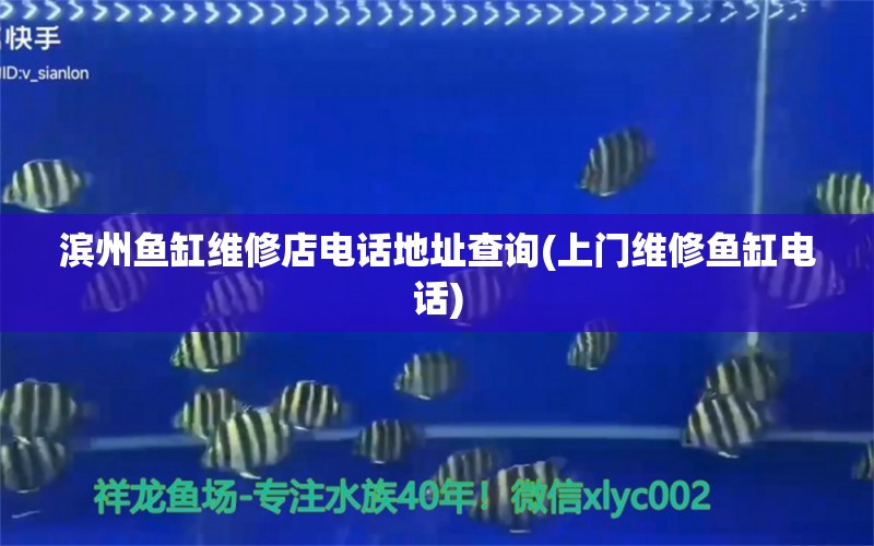 滨州鱼缸维修店电话地址查询(上门维修鱼缸电话) 其它水族用具设备