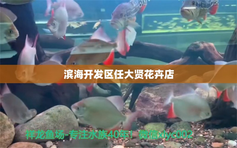 滨海开发区任大贤花卉店 全国水族馆企业名录