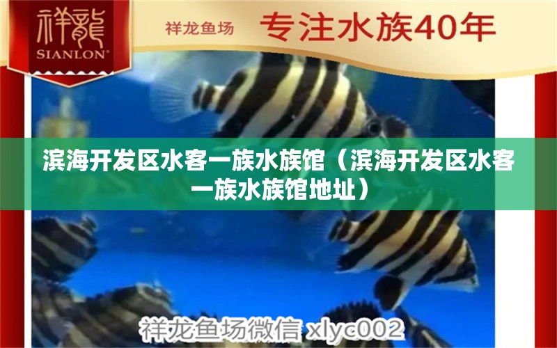 滨海开发区水客一族水族馆（滨海开发区水客一族水族馆地址）