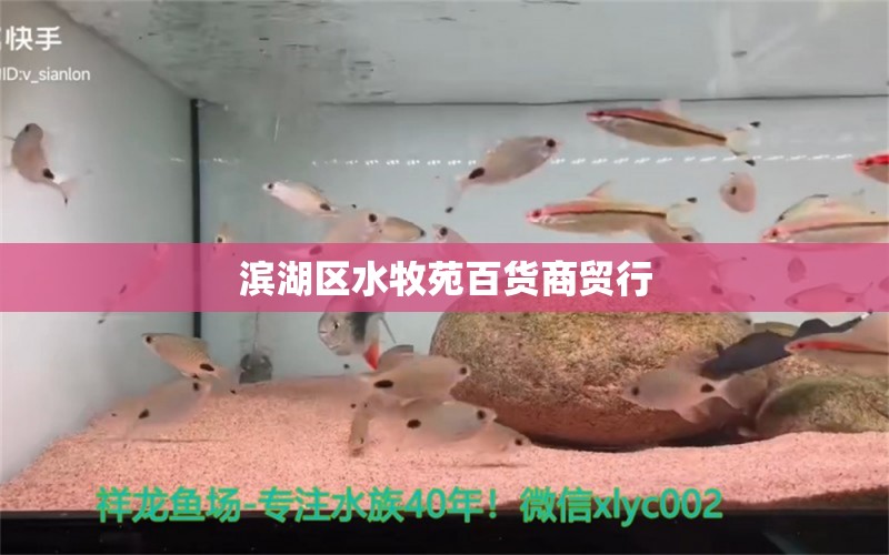 滨湖区水牧苑百货商贸行 全国水族馆企业名录