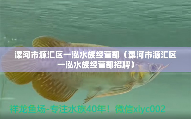 漯河市源汇区一泓水族经营部（漯河市源汇区一泓水族经营部招聘）