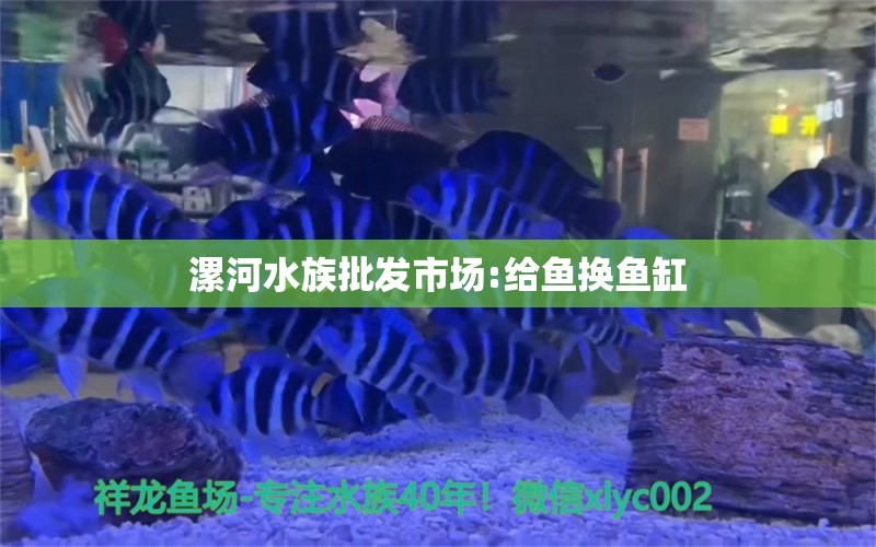 漯河水族批发市场:给鱼换鱼缸