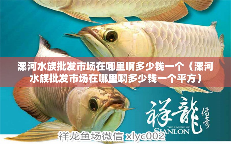 漯河水族批发市场在哪里啊多少钱一个（漯河水族批发市场在哪里啊多少钱一个平方）