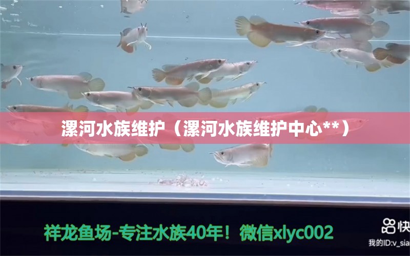 漯河水族维护（漯河水族维护中心**）