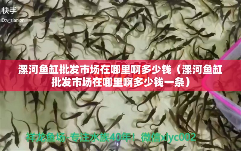 漯河鱼缸批发市场在哪里啊多少钱（漯河鱼缸批发市场在哪里啊多少钱一条）