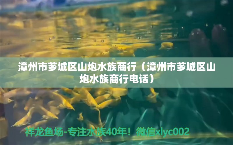 漳州市芗城区山炮水族商行（漳州市芗城区山炮水族商行电话）