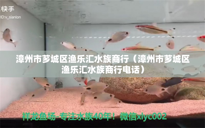 漳州市芗城区渔乐汇水族商行（漳州市芗城区渔乐汇水族商行电话） 全国水族馆企业名录