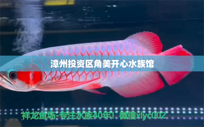 漳州投资区角美开心水族馆