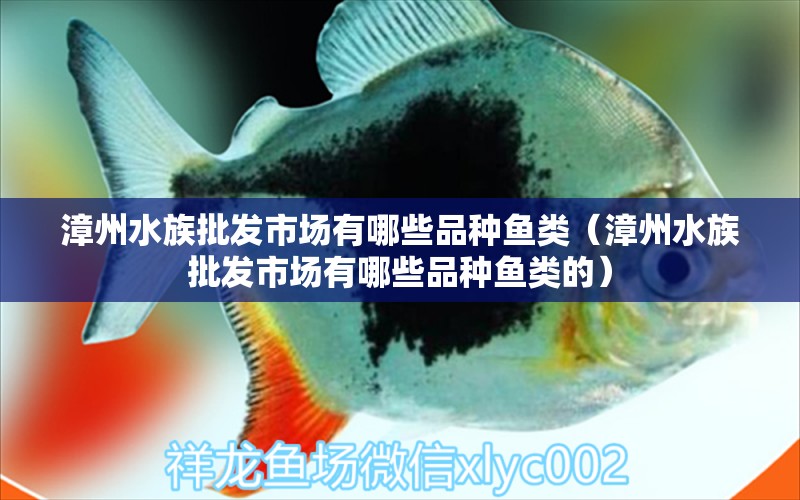 漳州水族批发市场有哪些品种鱼类（漳州水族批发市场有哪些品种鱼类的）