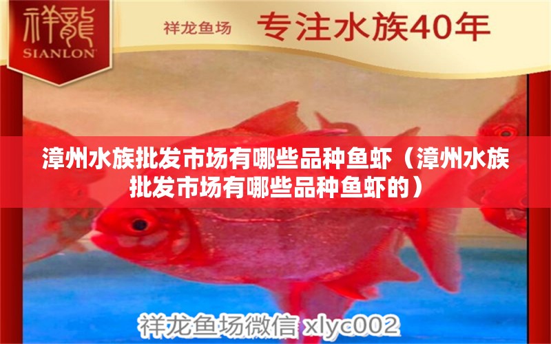 漳州水族批发市场有哪些品种鱼虾（漳州水族批发市场有哪些品种鱼虾的）