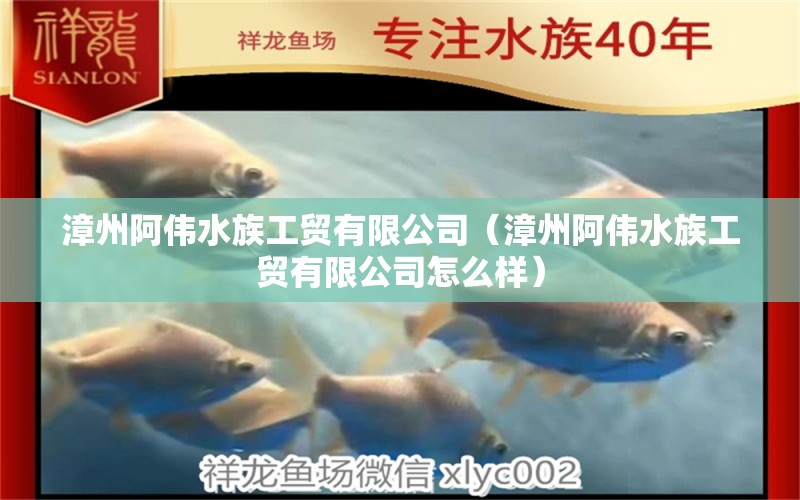 漳州阿伟水族工贸有限公司（漳州阿伟水族工贸有限公司怎么样）