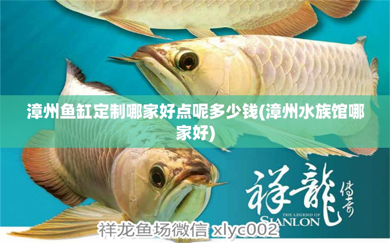 漳州鱼缸定制哪家好点呢多少钱(漳州水族馆哪家好)