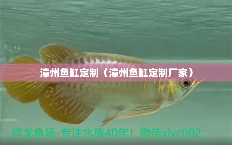 漳州鱼缸定制（漳州鱼缸定制厂家） 广州龙鱼批发市场