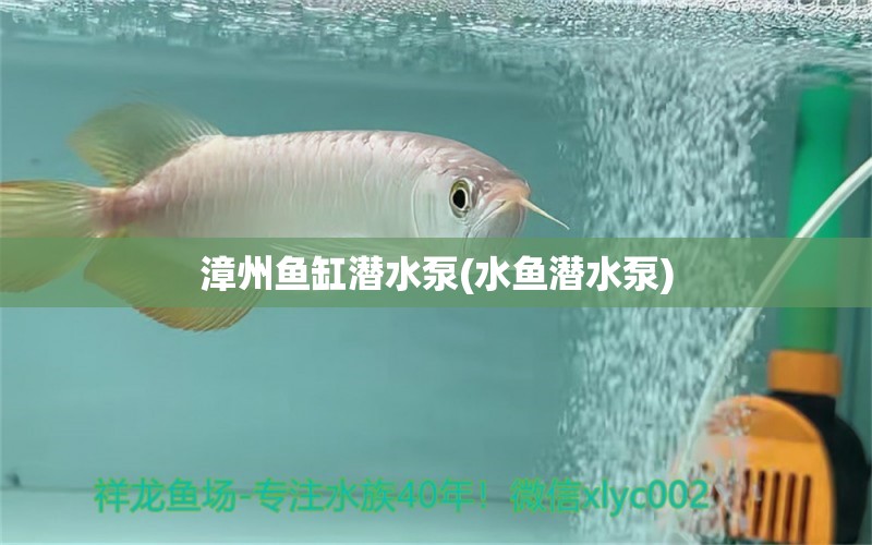 漳州鱼缸潜水泵(水鱼潜水泵)