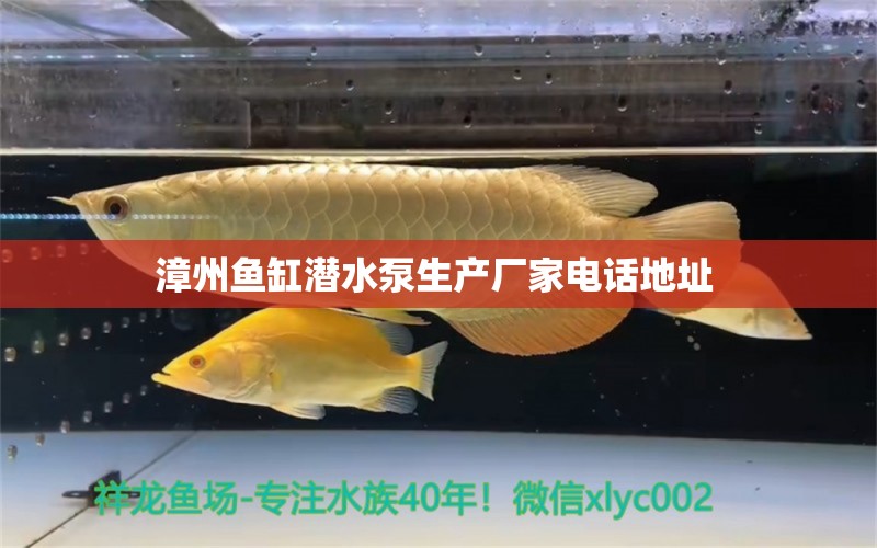 漳州鱼缸潜水泵生产厂家电话地址  月光鸭嘴鱼