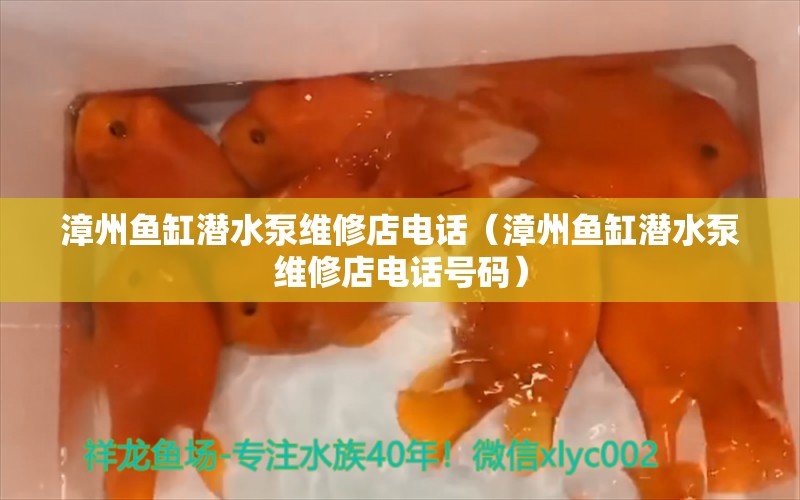 漳州鱼缸潜水泵维修店电话（漳州鱼缸潜水泵维修店电话号码） 观赏鱼市场（混养鱼）