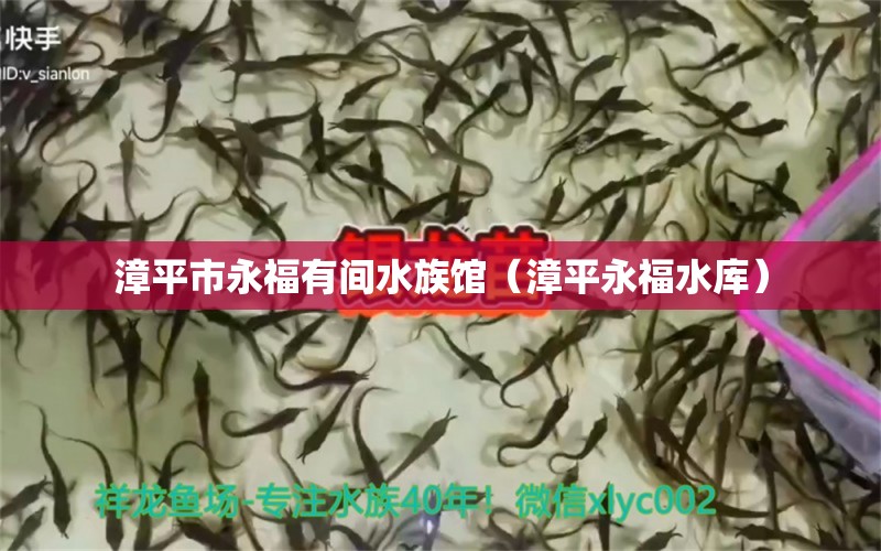 漳平市永福有间水族馆（漳平永福水库） 全国水族馆企业名录