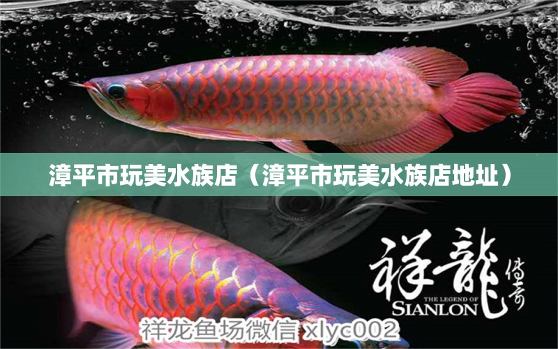 漳平市玩美水族店（漳平市玩美水族店地址）