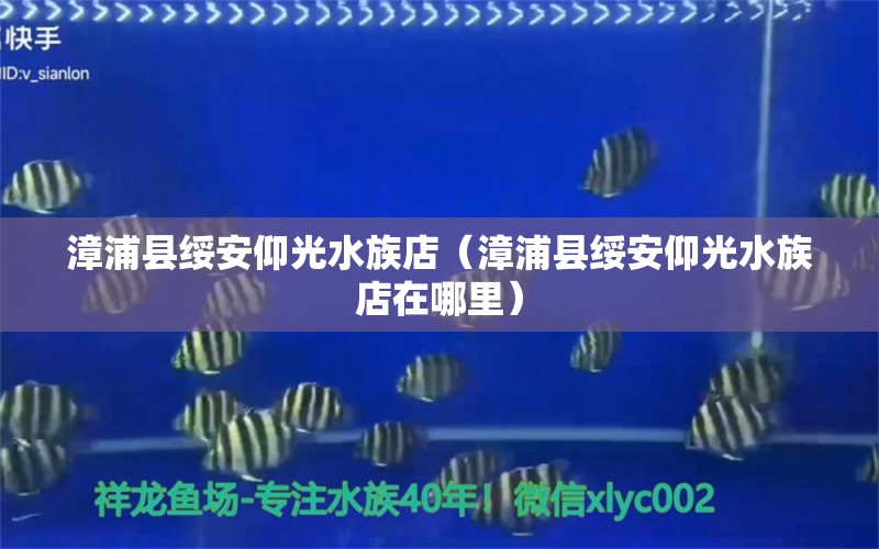 漳浦县绥安仰光水族店（漳浦县绥安仰光水族店在哪里）