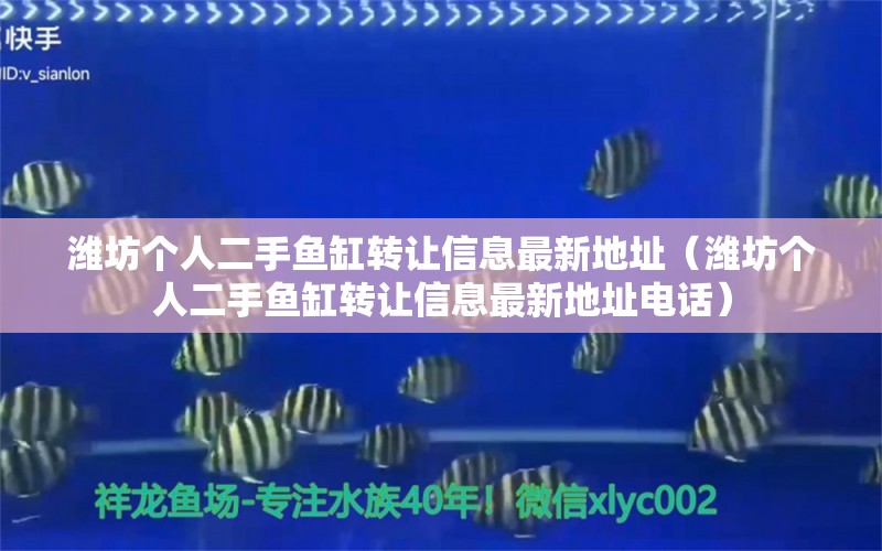 潍坊个人二手鱼缸转让信息最新地址（潍坊个人二手鱼缸转让信息最新地址电话）