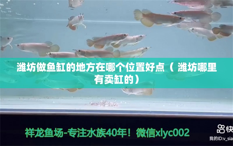 潍坊做鱼缸的地方在哪个位置好点（ 潍坊哪里有卖缸的） 赤焰中国虎鱼 第1张