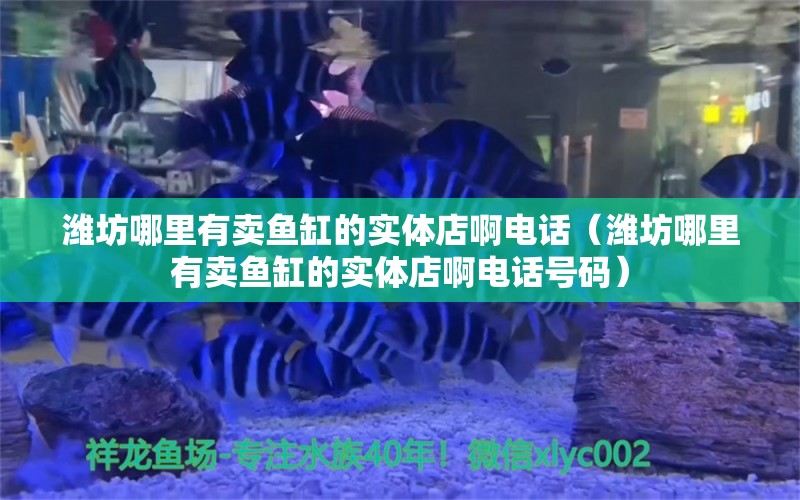 潍坊哪里有卖鱼缸的实体店啊电话（潍坊哪里有卖鱼缸的实体店啊电话号码）