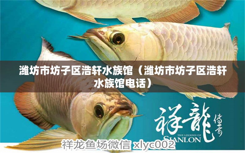 潍坊市坊子区浩轩水族馆（潍坊市坊子区浩轩水族馆电话）