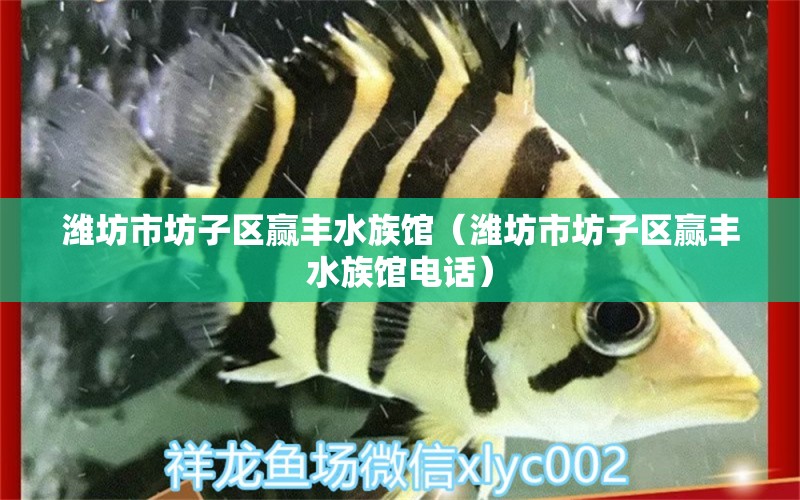 潍坊市坊子区赢丰水族馆（潍坊市坊子区赢丰水族馆电话） 全国水族馆企业名录