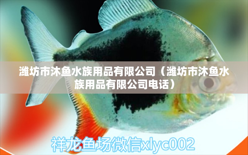 潍坊市沐鱼水族用品有限公司（潍坊市沐鱼水族用品有限公司电话） 水族用品