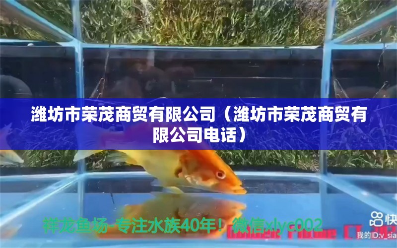 潍坊市荣茂商贸有限公司（潍坊市荣茂商贸有限公司电话） 全国水族馆企业名录