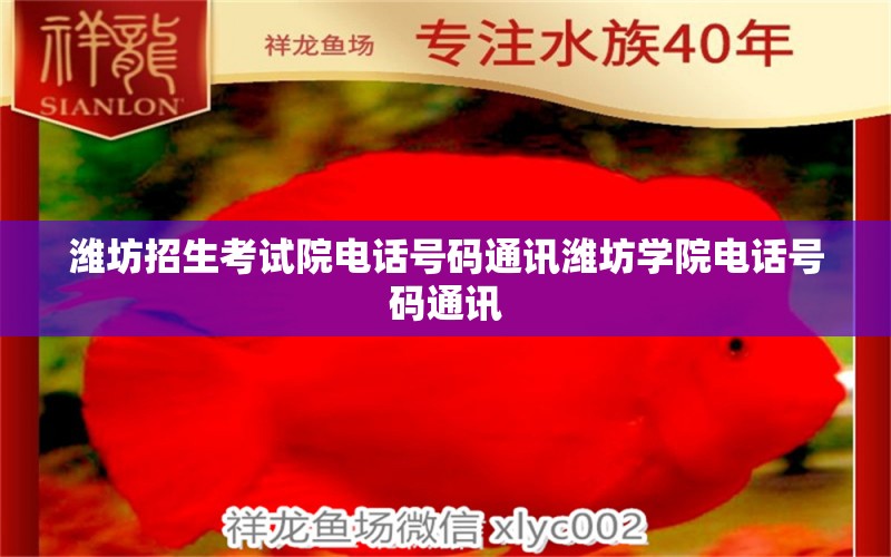 潍坊招生考试院电话号码通讯潍坊学院电话号码通讯