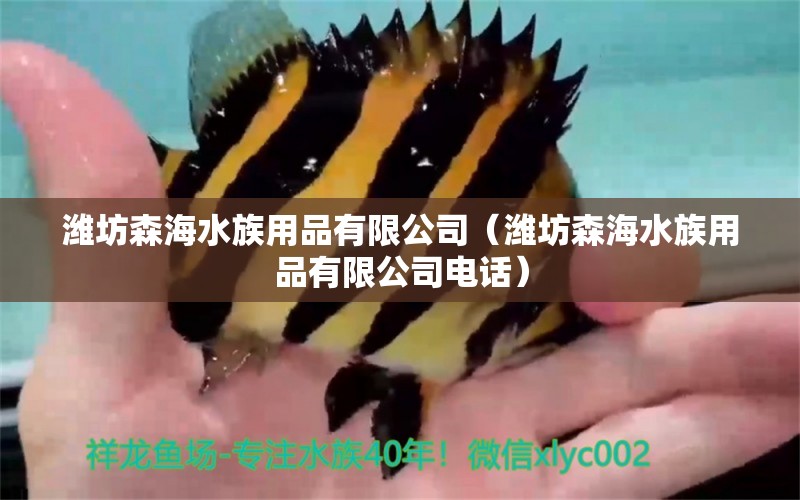 潍坊森海水族用品有限公司（潍坊森海水族用品有限公司电话） 水族用品