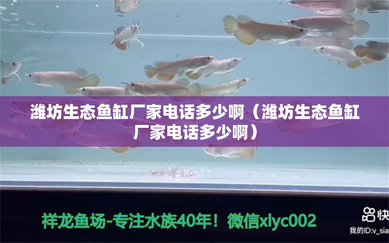 潍坊生态鱼缸厂家电话多少啊（潍坊生态鱼缸厂家电话多少啊） 观赏鱼市场（混养鱼）