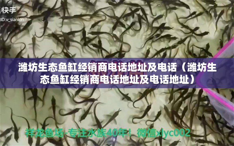 潍坊生态鱼缸经销商电话地址及电话（潍坊生态鱼缸经销商电话地址及电话地址）