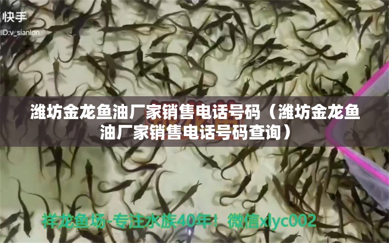 潍坊金龙鱼油厂家销售电话号码（潍坊金龙鱼油厂家销售电话号码查询） 红尾平克鱼