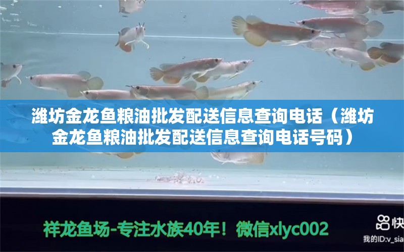 潍坊金龙鱼粮油批发配送信息查询电话（潍坊金龙鱼粮油批发配送信息查询电话号码） 金龙鱼粮