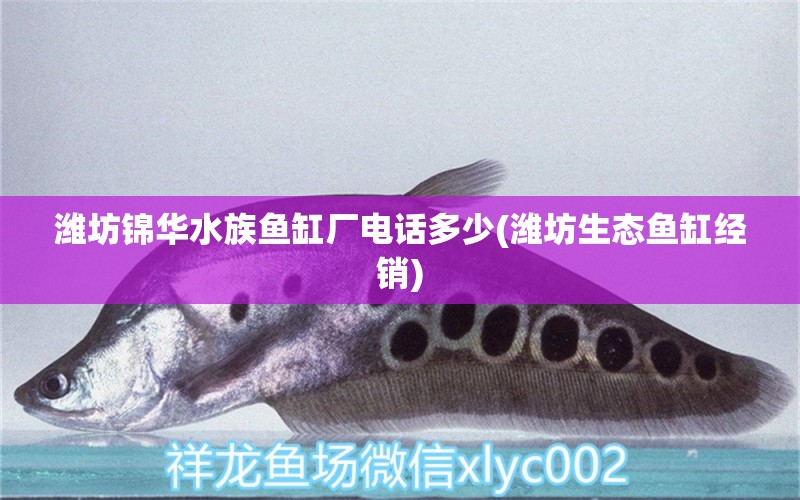 潍坊锦华水族鱼缸厂电话多少(潍坊生态鱼缸经销) 玫瑰银版鱼