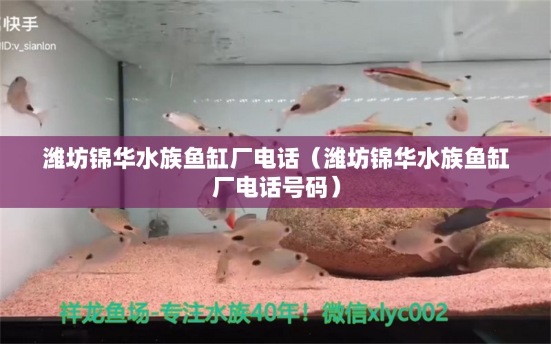 潍坊锦华水族鱼缸厂电话（潍坊锦华水族鱼缸厂电话号码） 观赏鱼市场（混养鱼）