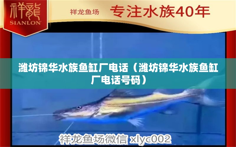 潍坊锦华水族鱼缸厂电话（潍坊锦华水族鱼缸厂电话号码） 观赏鱼市场（混养鱼）