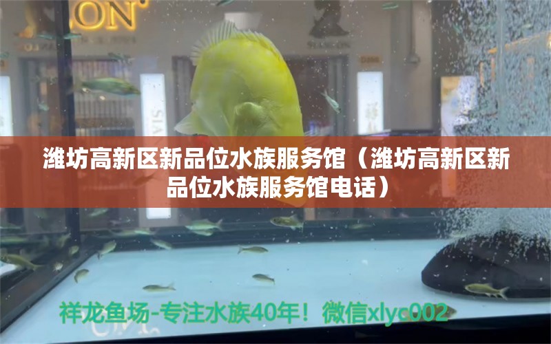 潍坊高新区新品位水族服务馆（潍坊高新区新品位水族服务馆电话）