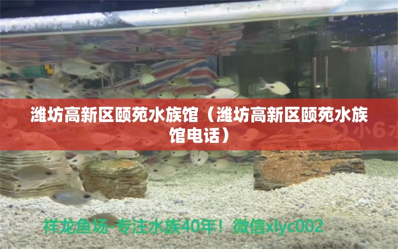 潍坊高新区颐苑水族馆（潍坊高新区颐苑水族馆电话） 全国水族馆企业名录