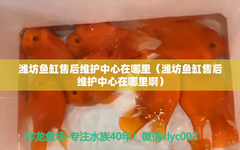 潍坊鱼缸售后维护中心在哪里（潍坊鱼缸售后维护中心在哪里啊）