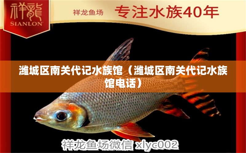 潍城区南关代记水族馆（潍城区南关代记水族馆电话） 全国水族馆企业名录