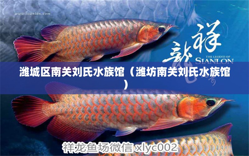 潍城区南关刘氏水族馆（潍坊南关刘氏水族馆） 全国观赏鱼市场 第2张