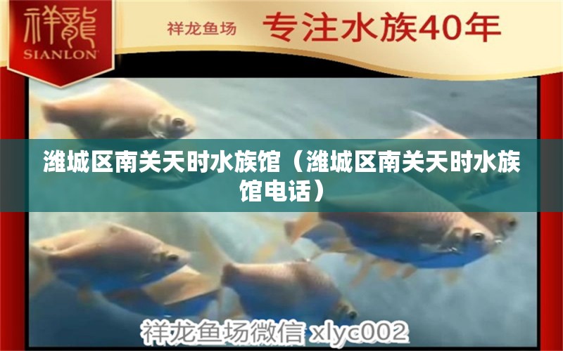 潍城区南关天时水族馆（潍城区南关天时水族馆电话）